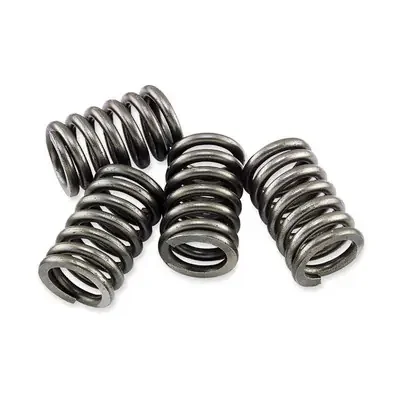 EBC Kawasaki ZX 750 F1/F2/F3/F4 Ninja 87-90 CSK Clutch Spring Kit