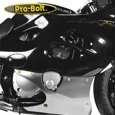Pro-Bolt Fairing Bolt Kits BMW S1000RR 10-12