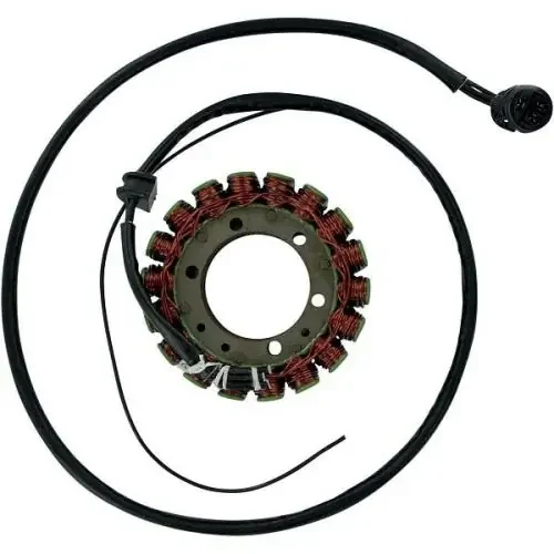 Stator for Kawasaki ZX1200 Ninja ZX12R 2000-2001 Ricks