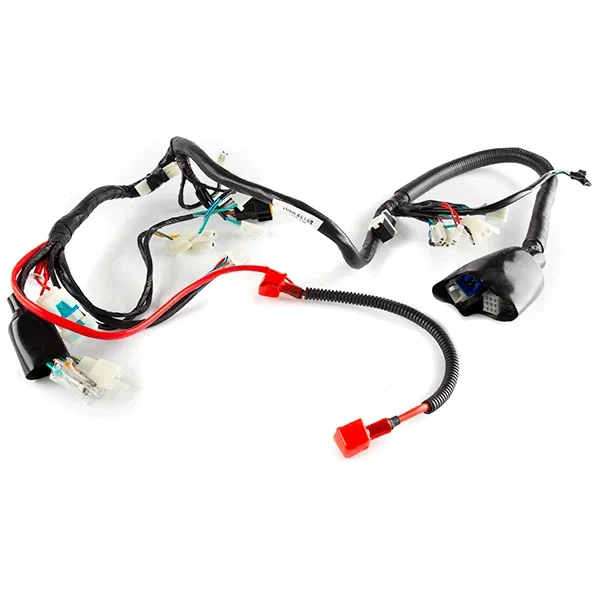 Wiring Loom for SK125-L, HJ125-J-E4, FIREFLY